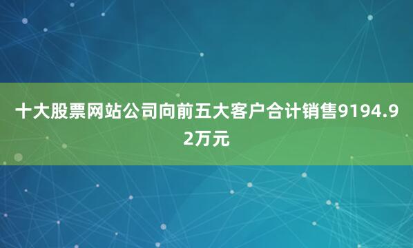 十大股票网站公司向前五大客户合计销售9194.92万元