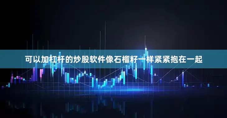 可以加杠杆的炒股软件像石榴籽一样紧紧抱在一起